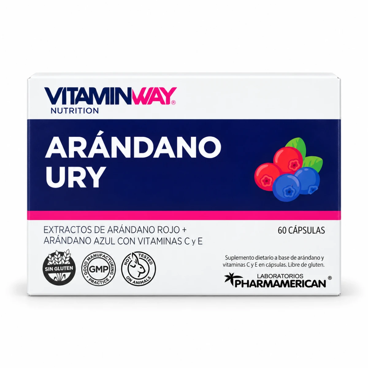 ARANDANO URY VITAMIN WAY ESTUCHE X 60